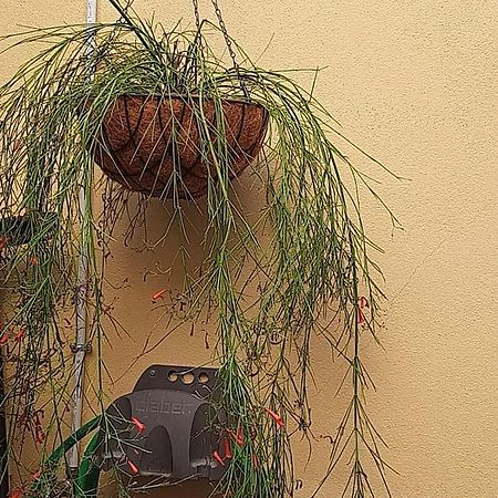 I Nuraghi II Apartman Cagliari Kültér fotó