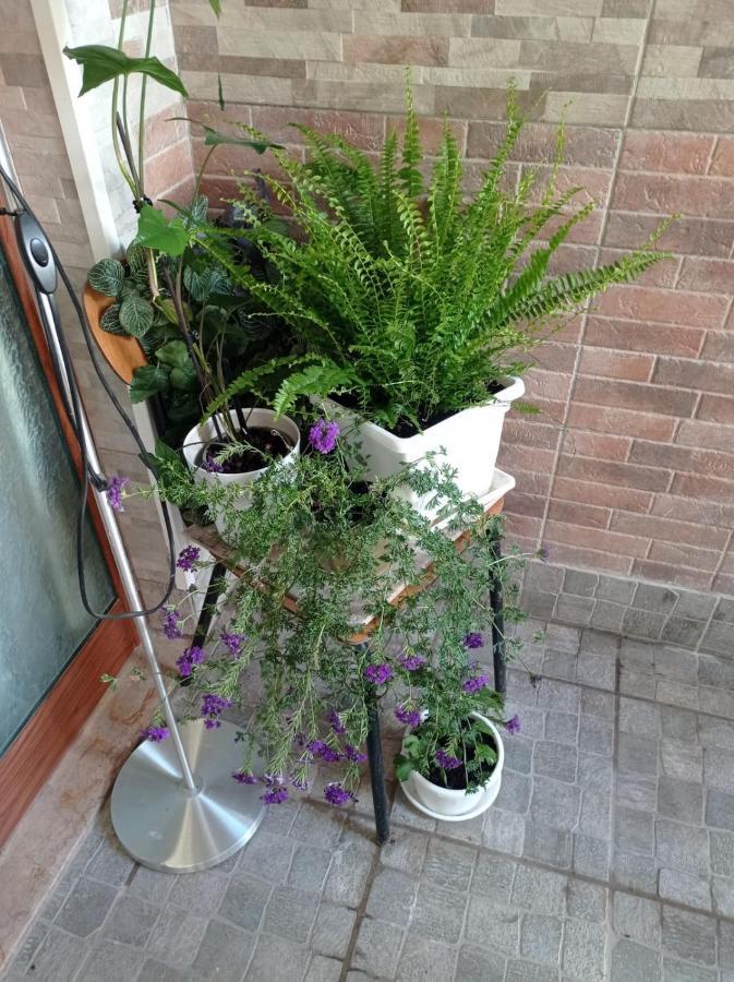 I Nuraghi II Apartman Cagliari Kültér fotó