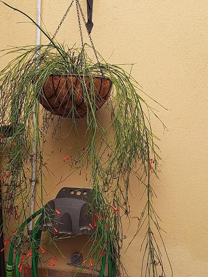 I Nuraghi II Apartman Cagliari Kültér fotó